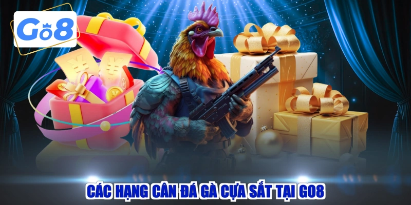 Các hạng cân đá gà cựa sắt tại GO8 