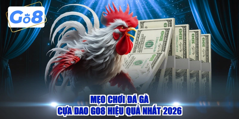 Mẹo chơi đá gà cựa dao GO8 hiệu quả nhất 2026