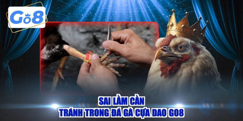 Sai lầm cần tránh trong đá gà cựa dao GO8